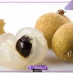 أسماء فواكه و خضر بحرف الصاد.. فواكه تبدأ بحرف ص