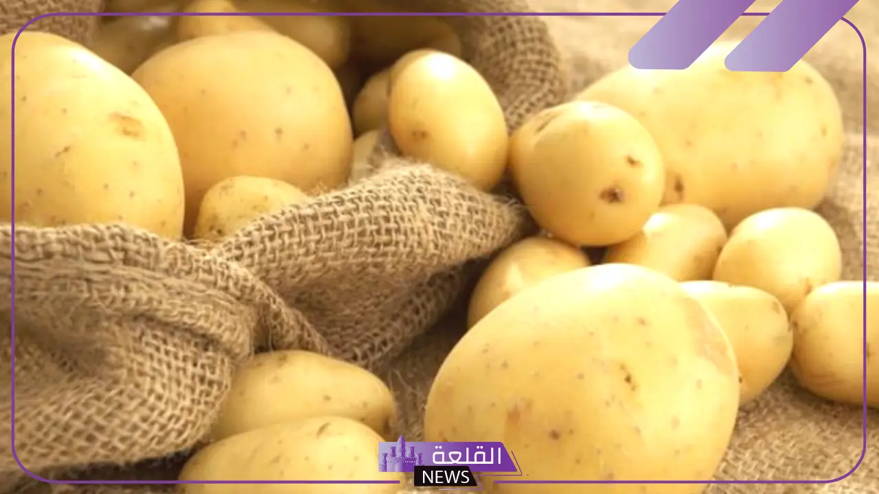 تفسير حلم اكل البطاطس في المنام للعزباء والحامل والمتزوجة لابن سيرين