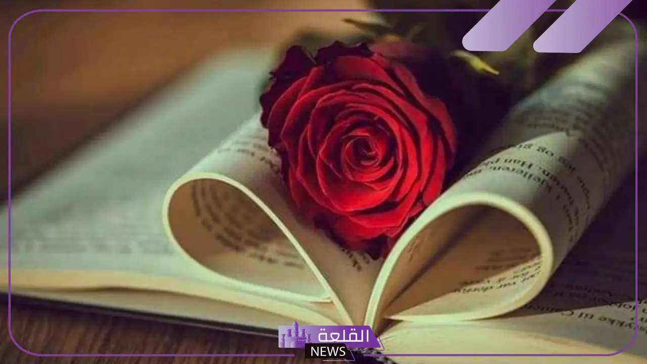 عنوان كتاب جميل يستحق القراءة.. أفضل الكتب للقراءة لزيادة الثقافة 5 أفضل الكتب للقراءة لزيادة الثقافة