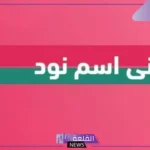 ما هو معنى نود؟ مشتقات كلمة نود