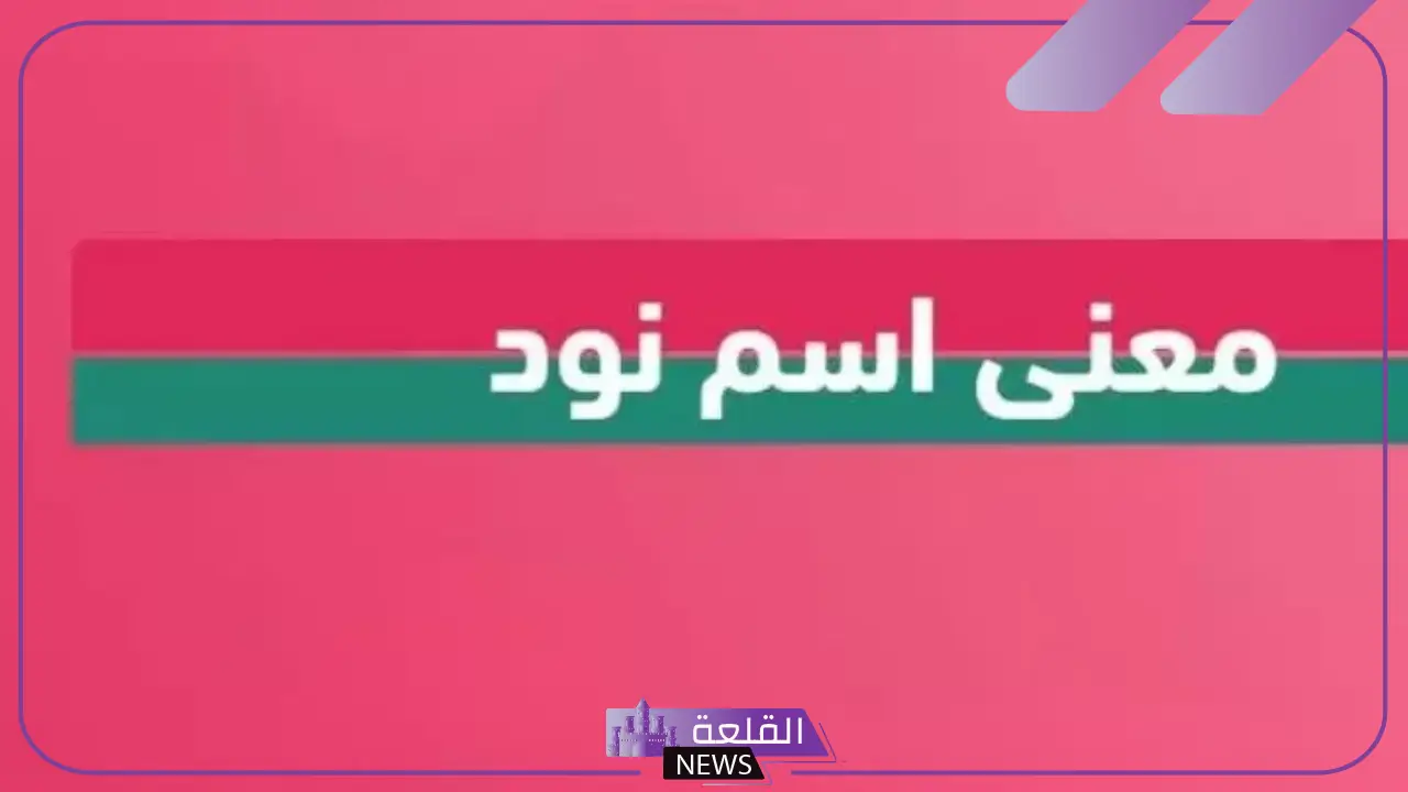 ما هو معنى نود؟ مشتقات كلمة نود