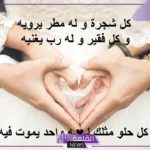 عبارات حب للزوجة رومانسية فيس بوك وتويتر.. كلام جميل للزوجة الزعلانة