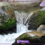 ما هي عوامل التعرية؟ تأثير التعرية على التضاريس