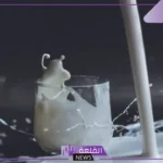 متى تظهر نتائج حليب انشور للتسمين؟ طريقة استخدام حليب انشور لزيادة الوزن