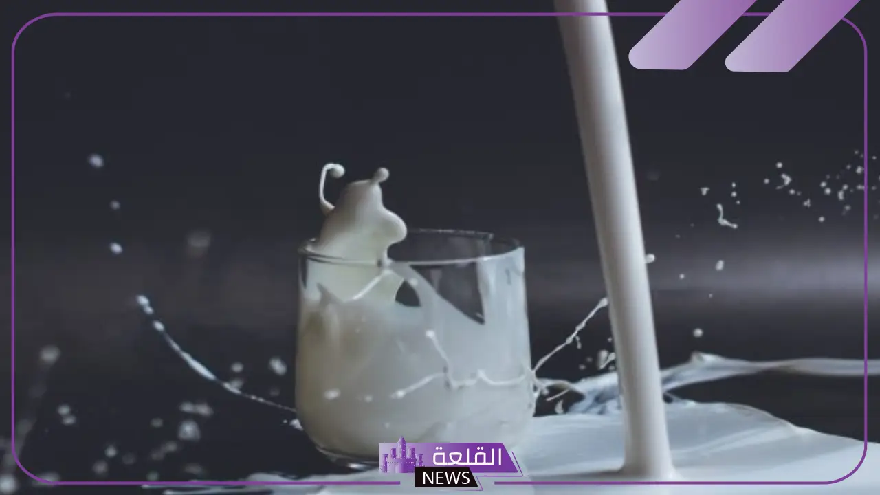 متى تظهر نتائج حليب انشور للتسمين؟ طريقة استخدام حليب انشور لزيادة الوزن
