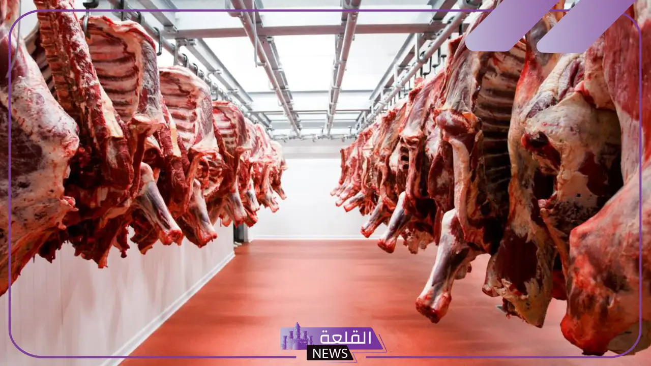 ما هو رمز الذبيحة في المنام؟ تفسير رؤية الذبائح الكثيرة في المنام للمتزوجة 5 رؤية الذبائح الكثيرة في المنام للمتزوجة