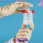 تفسير حلم القذف في المنام للرجل في اليد لكبار العلماء والمفسرين