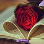 من أنواع الرسائل الشخصية؟ أهم عناصر الرسالة الشخصية