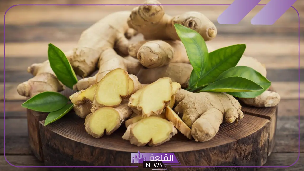 نبتة عشبية ذكرت في القران الكريم من 7 حروف فما هي؟ 5 السِّنَا والكمّون.. أعشاب ذُكرت في القرآن