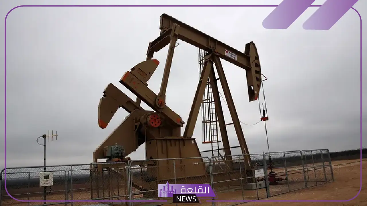 24 ساعة غير مسبوقة.. اكتشافات نفطية وأثرية في السعودية “طالع التفاصيل”