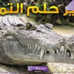 تفسير حلم التمساح في المنام وهجومه وعضته للمرأة والرجل لابن سيرين