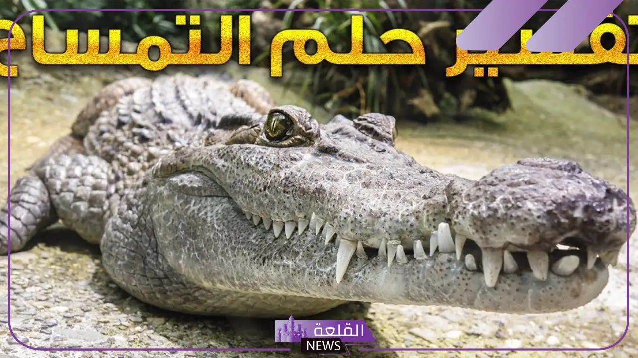 تفسير حلم التمساح في المنام وهجومه وعضته للمرأة والرجل لابن سيرين
