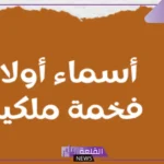 أسماء اولاد فخمة ملكية جميلة بالمعاني.. أجمل أسماء أولاد نادرة 2025