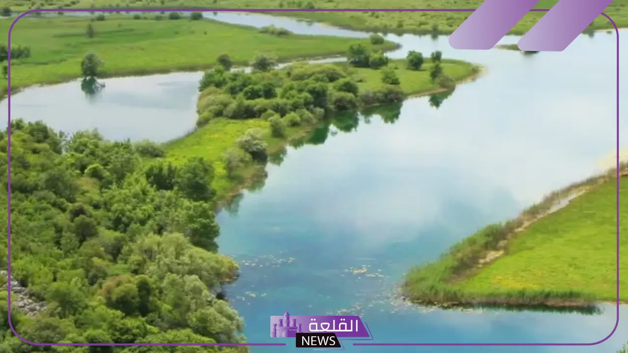تعريف الأنظمة البيئية المائية بالأنواع والأهمية 5 أهمية النظام البيئي المائي
