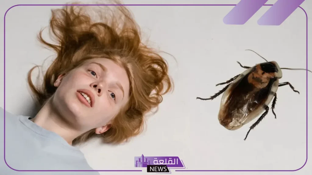 رؤية الصراصير في المنام للمتزوجة والعزباء لابن سيرين 5 تفسير حلم الصراصير البنية للعزباء