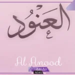 ما معنى اسم العنود في المنام للحامل والمتزوجة عند ابن سيرين