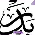 معنى اسم بدر في المنام للحامل والمتزوجة لابن سيرين