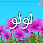 ما هو معنى اسم لولوه وصفاتها الشخصية.. اسم لولوه بالانجليزي