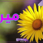 ما معنى اسم ميرال وما أصله وصفاته كاملة