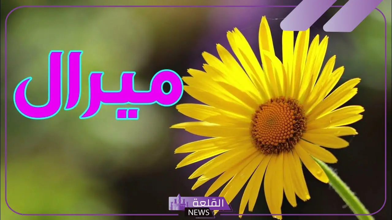 ما معنى اسم ميرال وما أصله وصفاته كاملة
