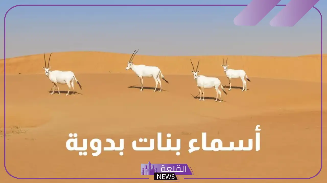 اسماء بدوية قديمة جميلة بمعانيها للأولاد والبنات 2025