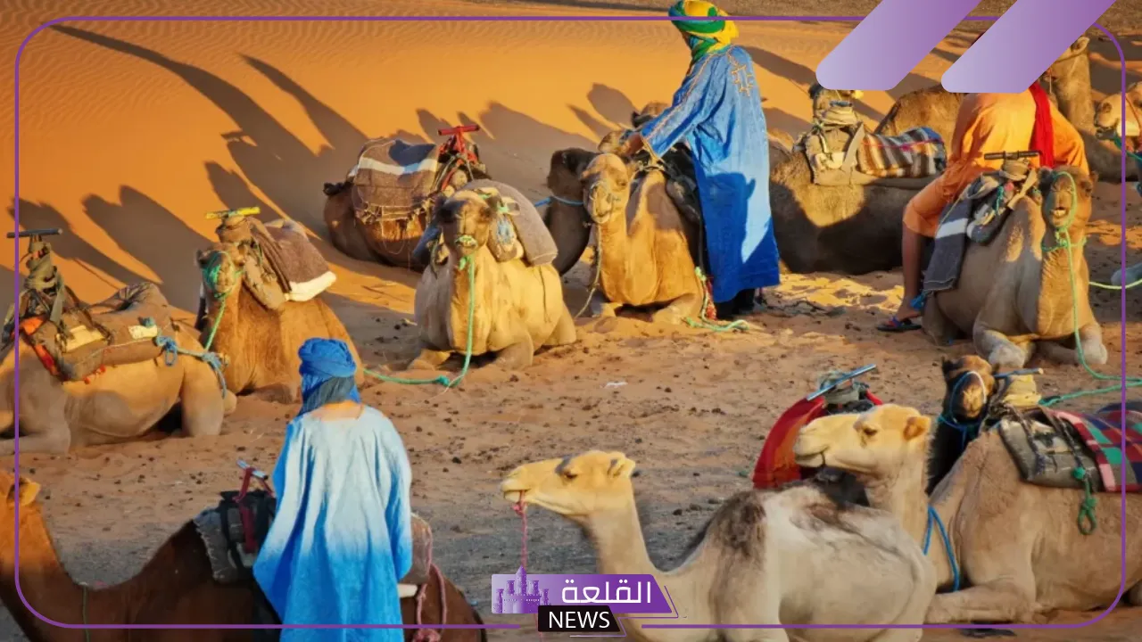 قبيلة بني سليم وش ترجع الأصل؟ بطون بني سليم 