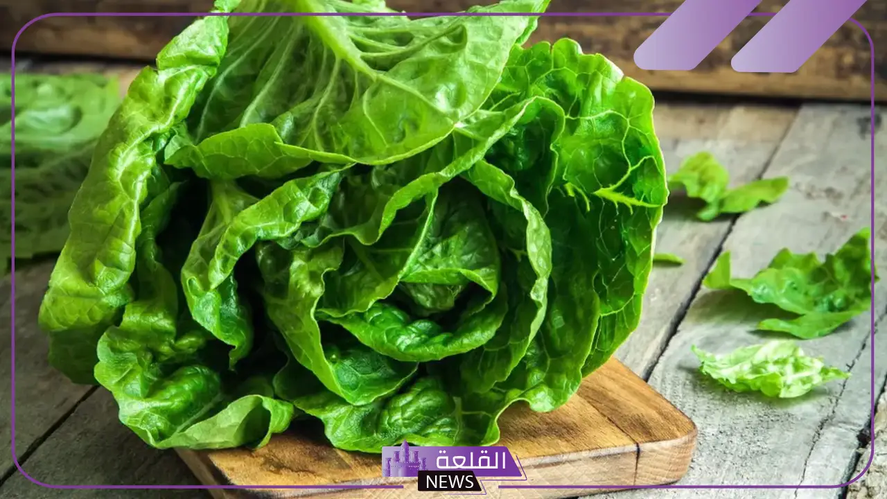 تفسير حلم اكل الخس في المنام للرجل والمرأة المطلقة والعزباء لابن سيرين