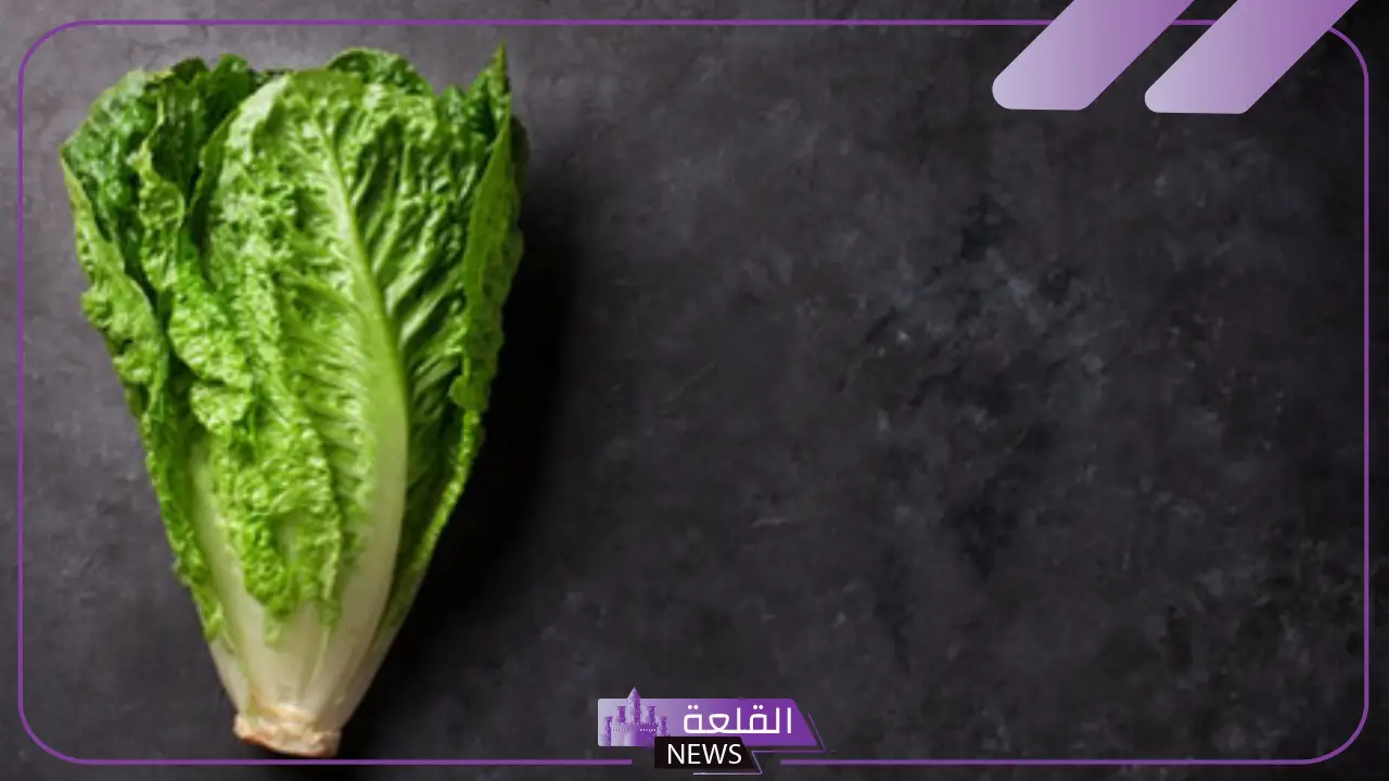 تفسير حلم اكل الخس في المنام للرجل المتزوج والمرأة لابن سيرين 5 تفسير حلم اكل الخس