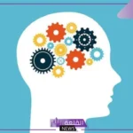 تعريف الاستدلال المنطقي وأنواعه وأمثلة عليه