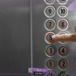 تفسير حلم ركوب الاصنصير في المنام للمتزوجة والعزباء والرجل