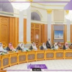 تعرف على التفاصيل.. مجلس الوزراء بالمملكة يشيد بنتائج الاكتشاف البترولي مع الكويت