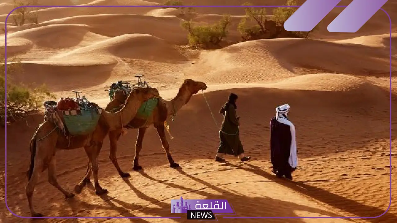 ما هو الفرق بين البدو والحضر؟ هل الحضر لهم أصل؟ 5 هل الحضر لهم أصل؟