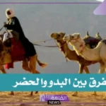 ما هو الفرق بين البدو والحضر؟ هل الحضر لهم أصل؟ 