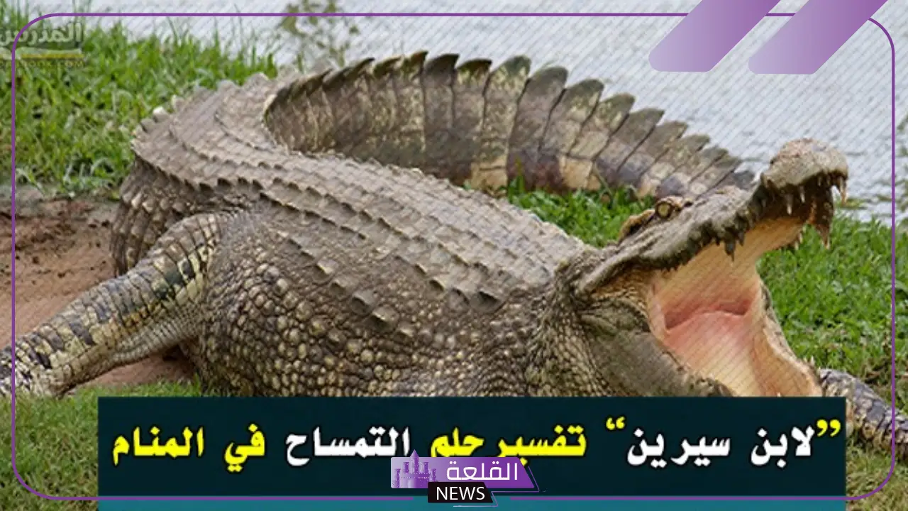 رؤية التماسيح في المنام للعزباء والمتزوجة لابن سيرين