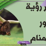 تفسير حلم الثور يطاردني في المنام للمسحور والرجل والمرأة لابن سيرين