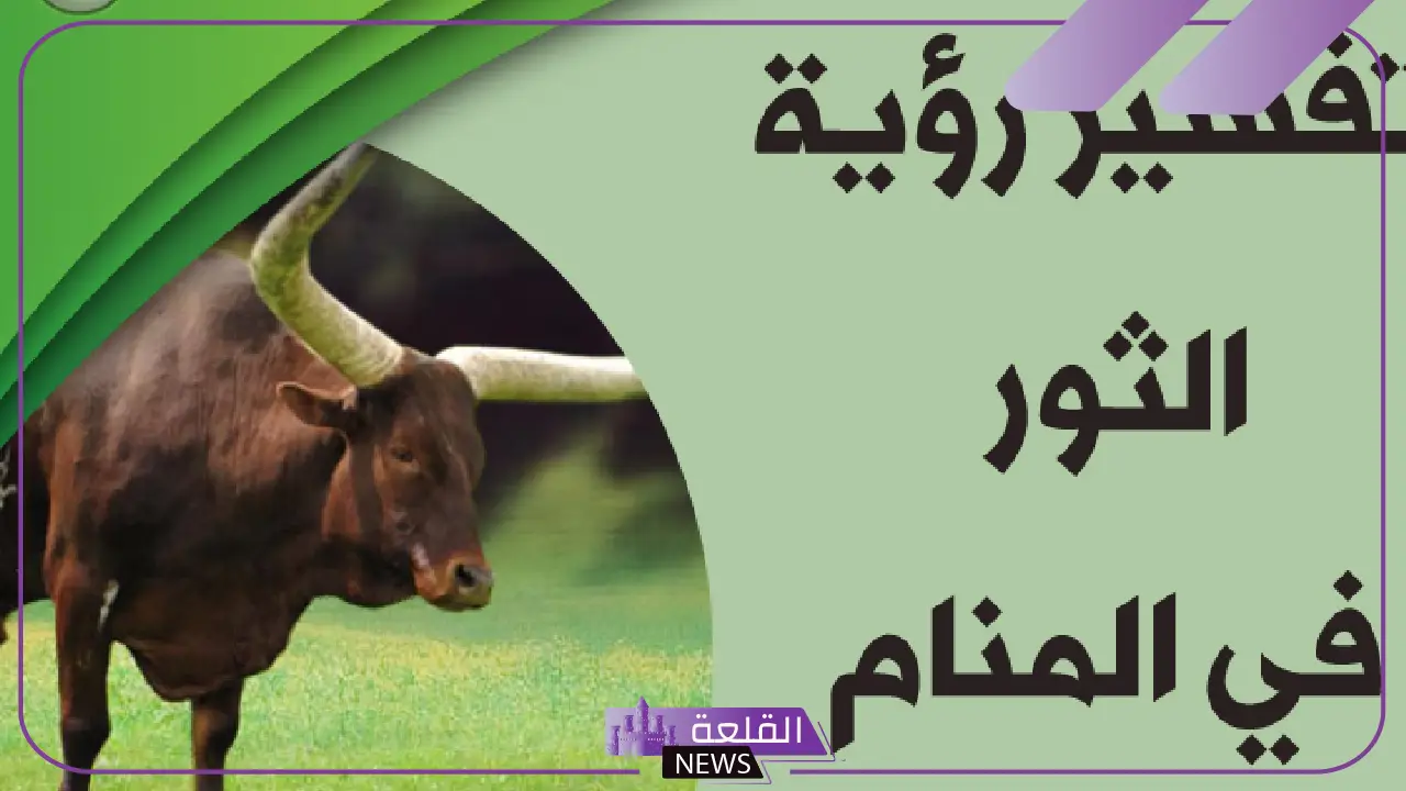 تفسير حلم الثور يطاردني في المنام للمسحور والرجل والمرأة لابن سيرين