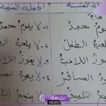 أمثلة على الجملة المثبتة والجملة المنفية.. خمس جمل مثبتة