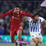 الجولة قبل الأخيرة.. القنوات الناقلة لمباراة ليفربول وبرايتون في الدوري الإنجليزي والموعد