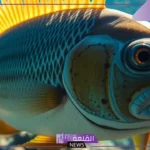ما هي وظيفة الخط الجانبي في الاسماك؟ مكونات الخط الجانبي
