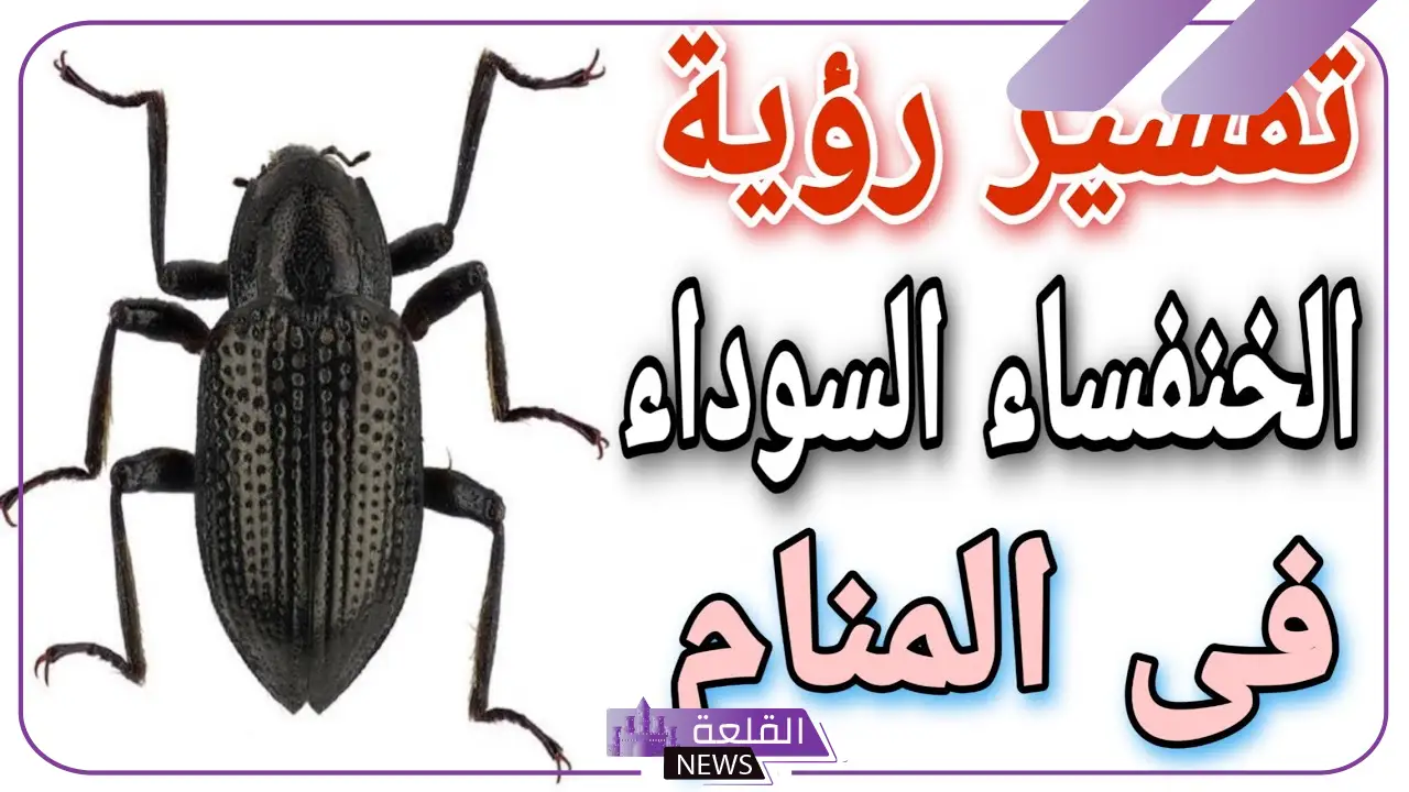 تفسير حلم الخنفساء السوداء الكبيرة في المنام لابن سيرين 5 قرصة الخنفساء في المنام