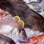 معلومات عن سمك العريضي.. حقائق عن الأسماك وأنواعها