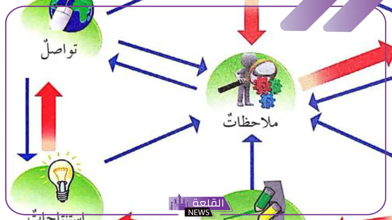 خطوات الطريقة العلمية كاملة.. مثال تطبيقي على الطريقة العلمية 5 مثال تطبيقي على الطريقة العلمية
