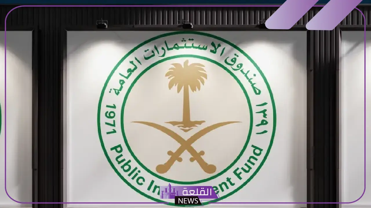 تعرف على التفاصيل.. صندوق الاستثمارات السعودي يتلقى تسهيلات استثنائية في الهند 5 تسهيلات اقتصادية لصندوق الاستثمارات السعودي في الهند