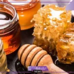 تفسير حلم العسل في المنام للمتزوجة والحامل والعزباء لابن سيرين