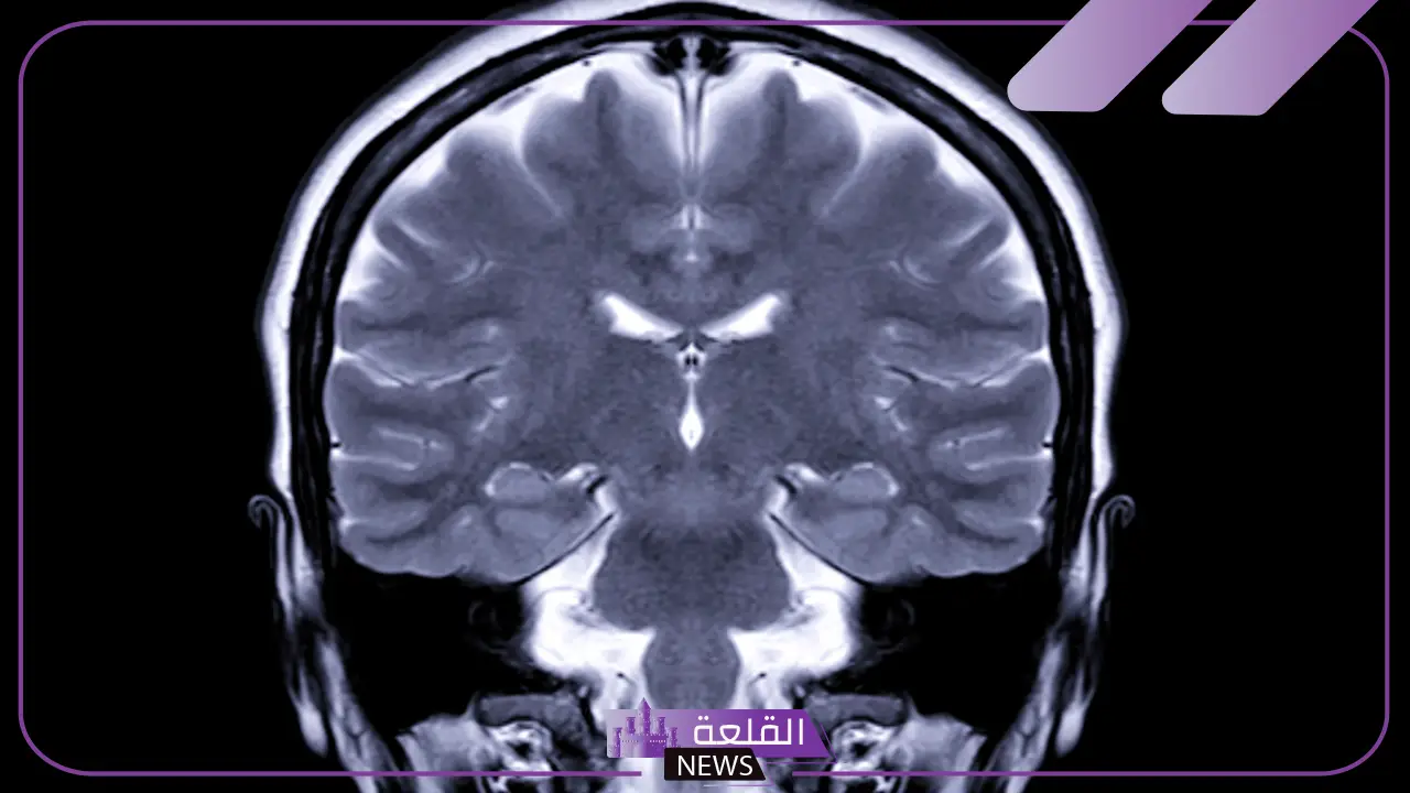 خطط العلاج المُخصصة للورم الأرومي الدبقي في المستشفيات الألمانية الرائدة مع Booking Health