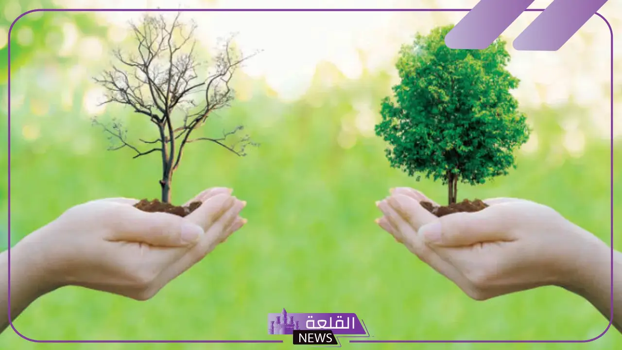 ما الاسم العلمي للأنظمة البيئية الرئيسية على الأرض 5 الأنظمة البيئية الرئيسية