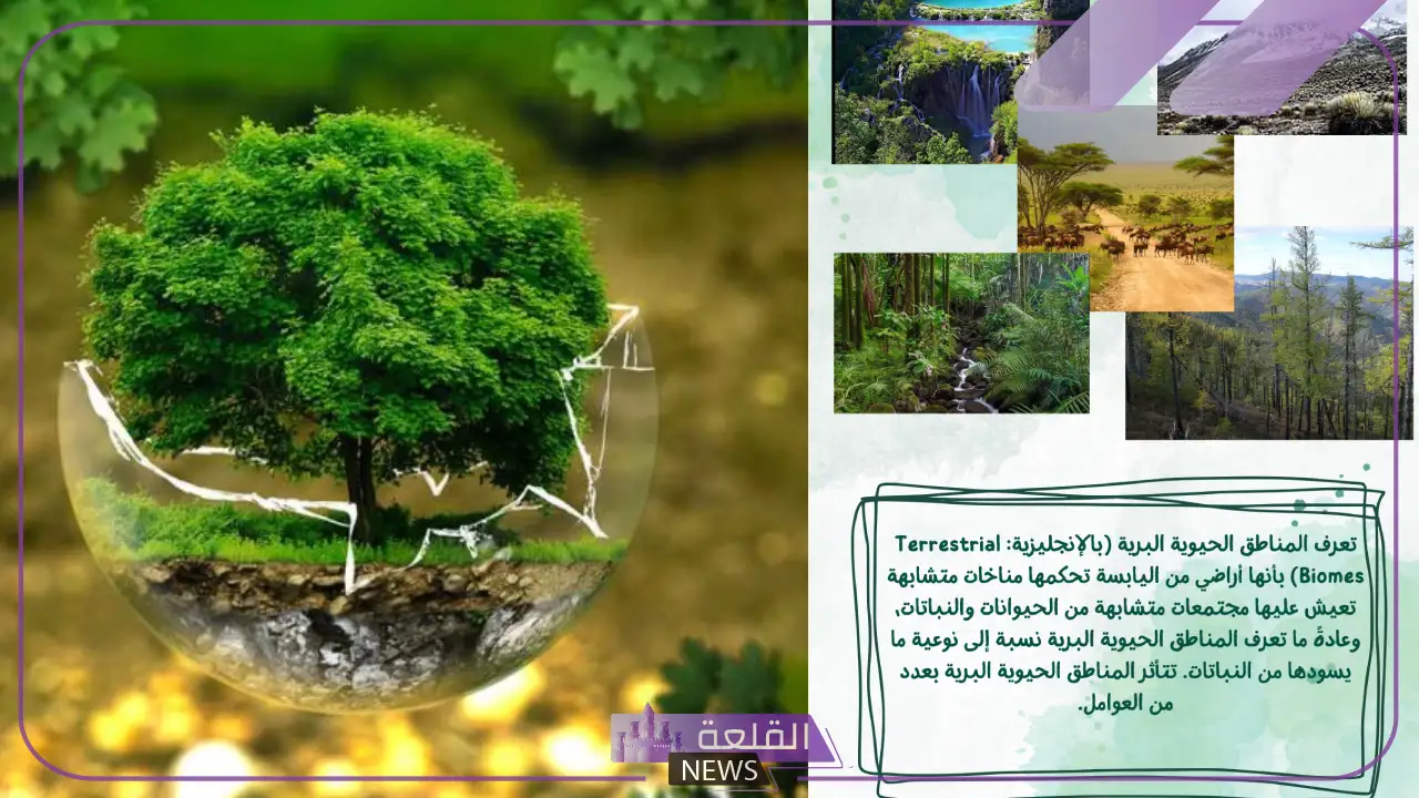 بحث عن المناطق الحيوية البرية مكتوب كامل 5 المناطق الحيوية على سطح الأرض البرية