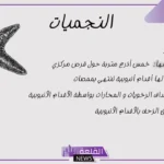 بحث عن خصائص شوكيات الجلد مكتوب