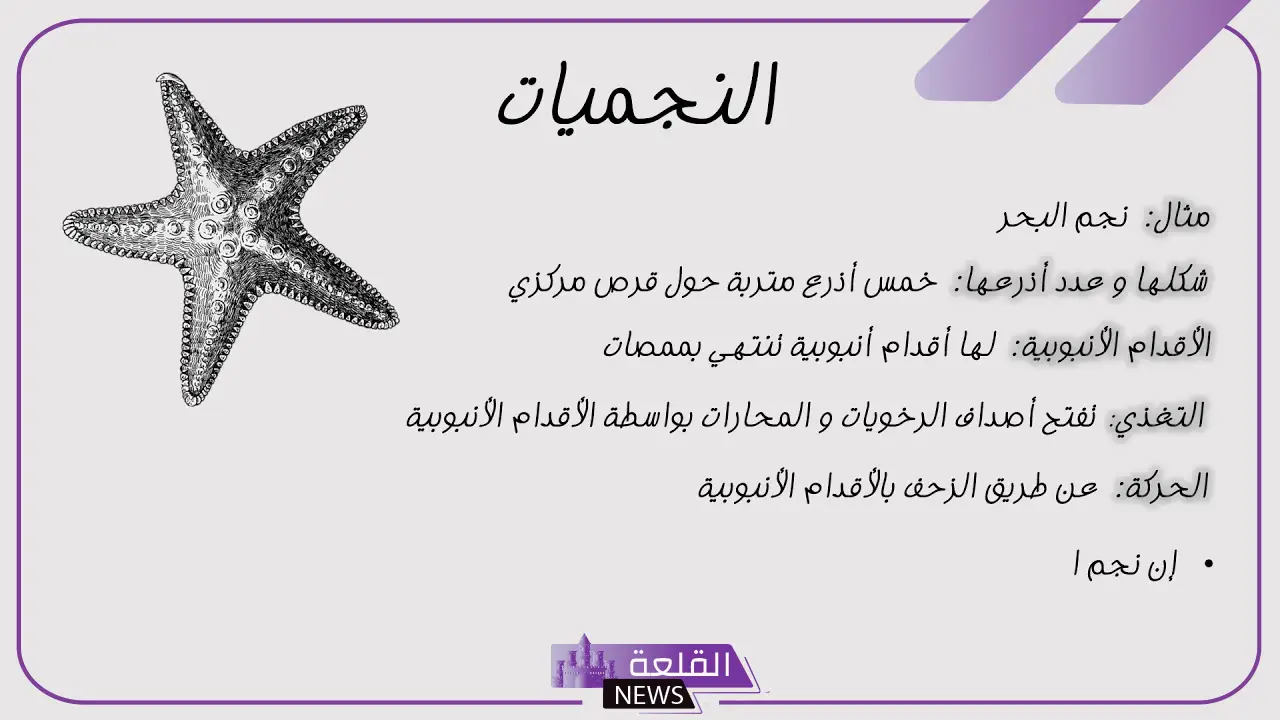 بحث عن خصائص شوكيات الجلد مكتوب