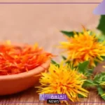 تجربتي مع العصفر للقلق والخوف والتوتر والتخلص من الاكتئاب